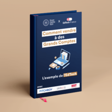 Ebook vendre à des grands comptes